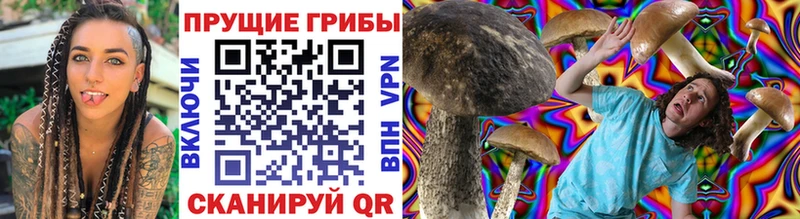 Галлюциногенные грибы Psilocybine cubensis Харабали
