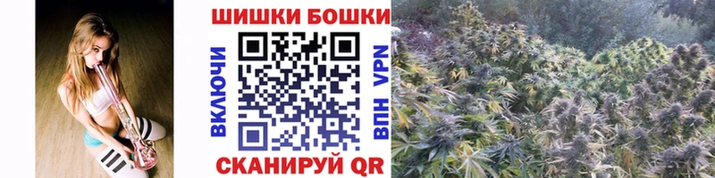 купить наркотик  Харабали  Бошки марихуана White Widow 
